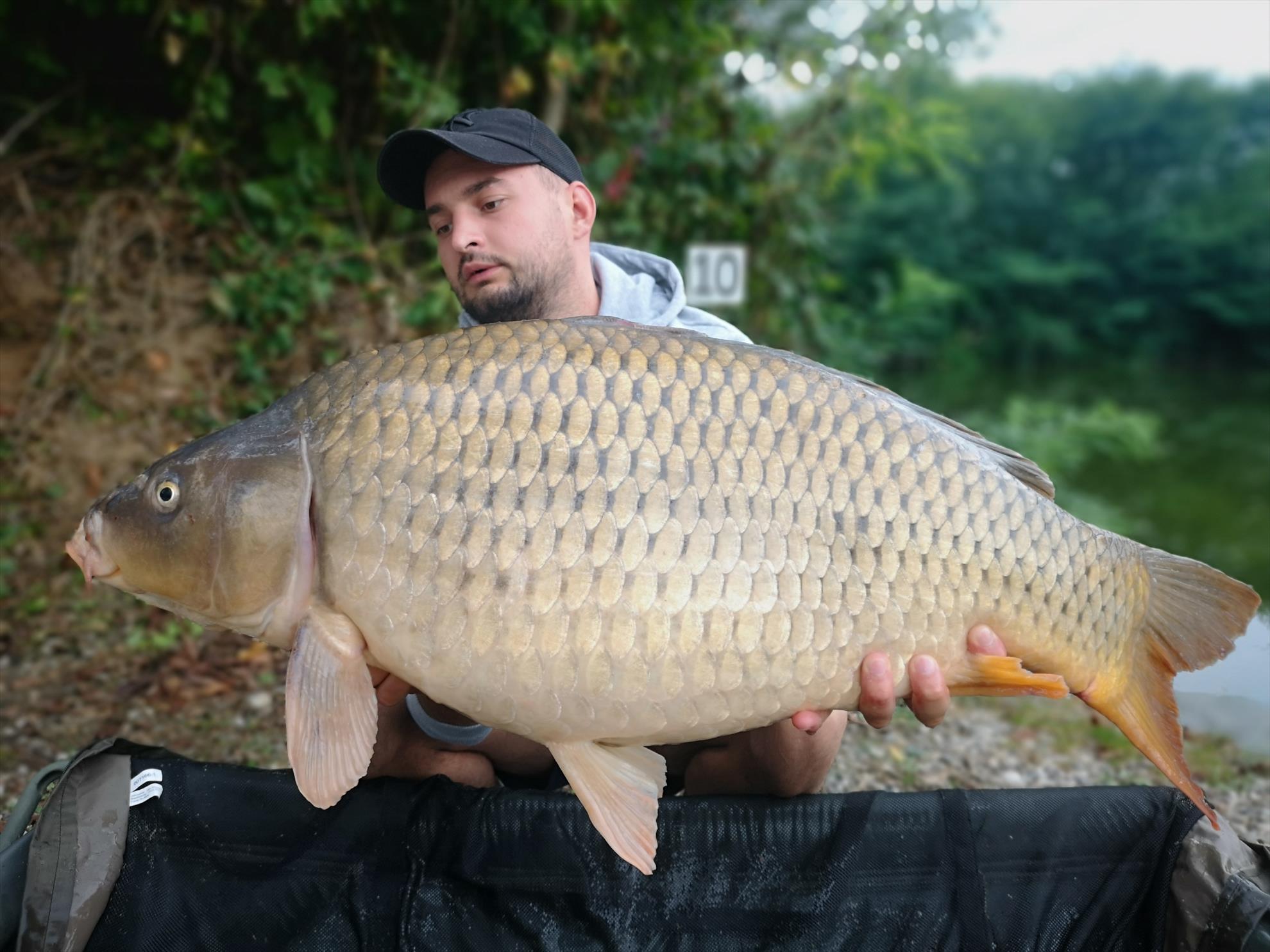 Jezero Žabar - img201909071603421.jpg